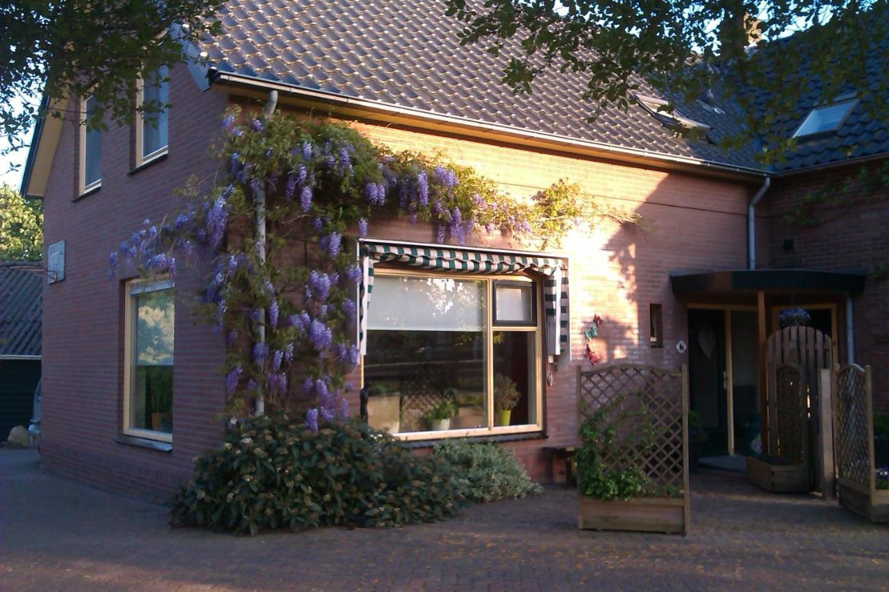 B&B De Vlinder 하르덴베르크 외부 사진